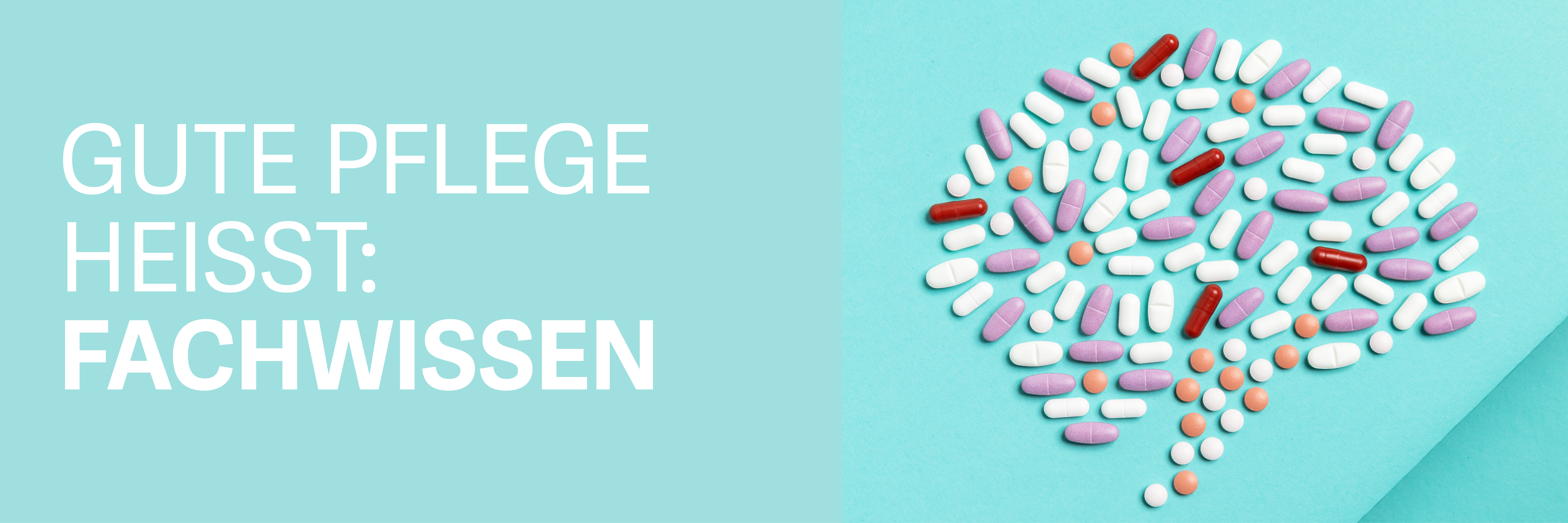 Spitex Header 1920x640px D