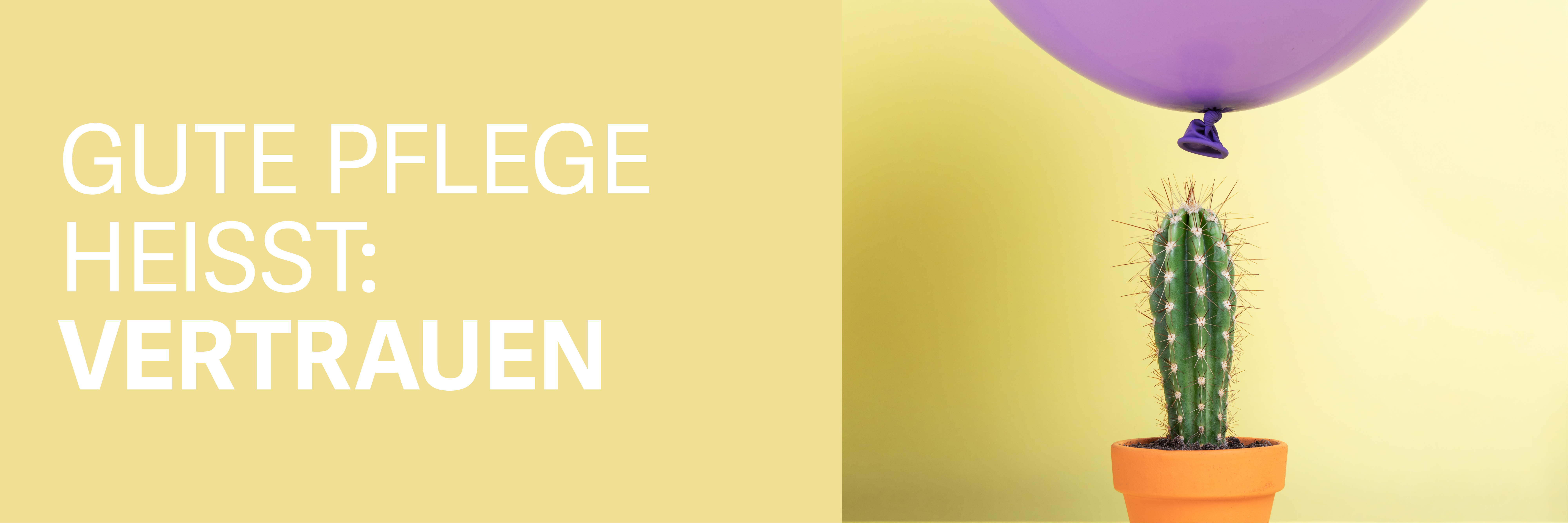 Spitex Header 1920x640px D3